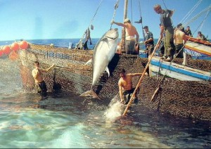 La vida de Huelva permanece unida histórica a la pesca.