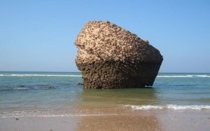 Conocida imagen de la playa de Matalascañas. / Foto: Patronato Turismo Huelva. 