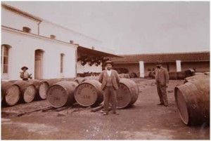 Pierre Leonard Verdier en las bodegas de San Juan del Puerto, principios del siglo XX. ©