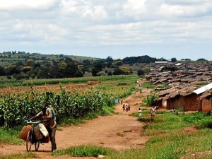 Vista del campo de refugiados Dzaleka, en Malawi./ Foto: Marina Rosillo. 