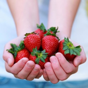 Las fresas, un producto estrella de la provincia de Huelva.