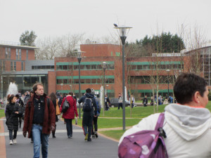 La Universidad de Limerick está considerada una de las mejores universidades de toda Irlanda, y está en el ranking de las 100 mejores universidades de todo el mundo.