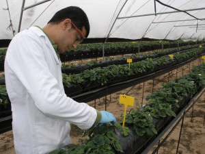 Adesva está a la vanguardia en materia de investigación. / Foto: citadesva.com.