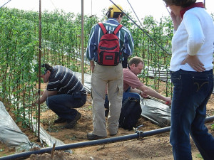 Huelva, pionera en materia innovadora y desarollo tecnológico. / Foto: citadesva.com.