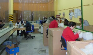 En el taller se encargan de poner alfombrillas y pegatinas a los envases para berries.