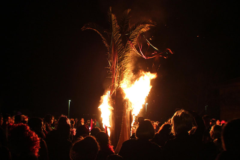 El palmito del Carnaval de San Juan del Puerto prendido en llamas. / Foto: Juan Antonio Ruiz