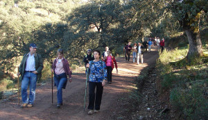 Naturaleza y deporte van de la mano en las rutas senderistas.