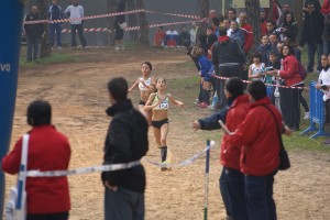 La carrera contó con participantes de todas las edades y gran afluencia de público.