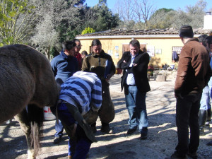  El delegado territorial, con los alumnos del curso de Formación Profesional para el Empleo 'Herrador de caballos', que se desarrolla en Galaroza.