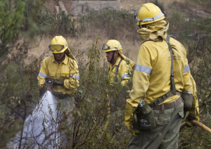 El incendió afecto a media hectárea del Paraje Marismas del Polvorín.