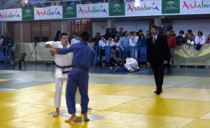 Imagen de uno de los combates del Colombino del año pasado.