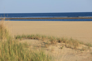 Las playas de Ayamonte, listas para la temporada.