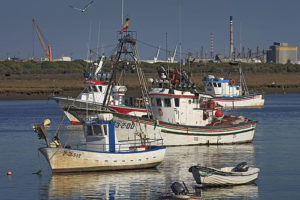 El puerto de Punta Umbría es el que mayor volumen de pesca ha registrado en 2012