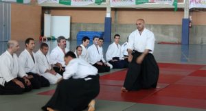 El aikido es una disciplina deportiva encuadrada en las artes marciales y que nació en Japón.