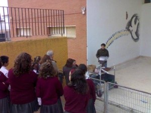 Imagen de una de las actividades celebradas en el CEIP Los Perales de Rociana. / Foto: losperales.zoomblog.com.