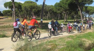 Punta Umbría vivió una agradable jornada de 'Deporte en familia'.