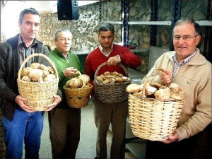 La Ruta Gastronómica contempla la degustación de recetas a base de gurumelo.