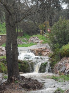 Barranco de la Madrona, donde se encuentra el molino del Rodezno y jardín botánico.