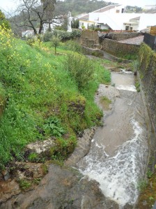 La zona cuenta con una gran belleza. 