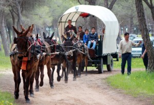 Los asistentes acudieron a pie, a caballo o en carro. 