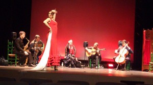 Se trata de un montaje de flamenco que no dejará a nadie indiferente.