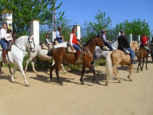 Los asistentes a la Marcha ecuestre disfrutaron de diferentes exhibiciones ecuestres.