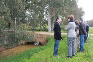 El Puente Medieval discurre por uno de los paisajes naturales más importantes de Ayamonte, el entorno del arroyo Pedraza.