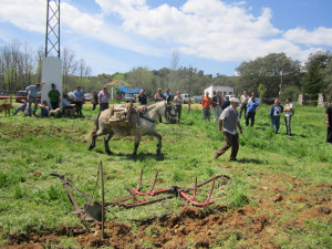 Una de las actividades celebradas al aire libre en el marco de las jornadas.