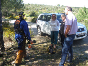 En la provincia se han registrado en lo que va de verano unos 53 siniestros.