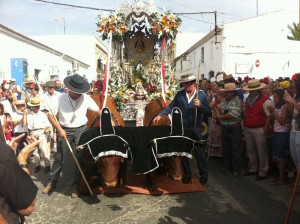 Los bueyes de Moguer centran los estrenos de esta hermandad este año. 