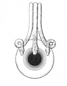 Plano cenital del jarrón.