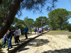 Los asistentes caminaron desde la Laguna hasta la ermita.