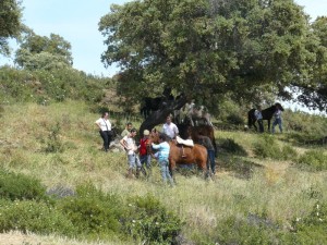 La feria cuenta con una gran tradición histórica.