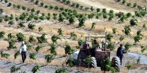 Las obras generarán 700 puestos de trabajo.