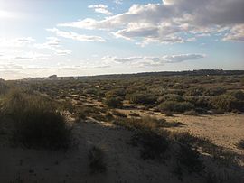 Paraje Natural Marismas del Río Piedras.