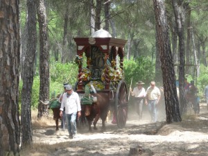 Imagen de la Carreta de Manzanilla con los bueyes por el camino.