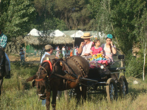 Anima a los moguereños a disfrutar intensamente de su romería. 