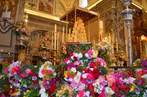 Colorido de las flores ante la Blanca Paloma. 