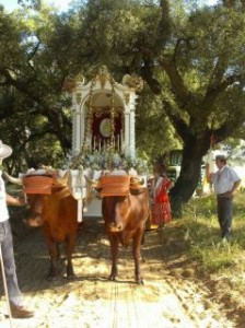 El Simpecado caminará este año con la imagen de la Virgen de Pastora