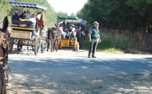 Camino de regreso de la Hermandad de Lucena en la tarde del martes.