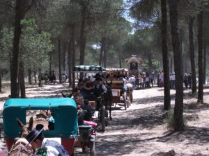 El camino al Rocio de esta localidad se caracteriza por su amplio cortejo de carros.