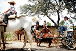 Campofrío se engalana para su romería. / Foto: Juan José Palomares.