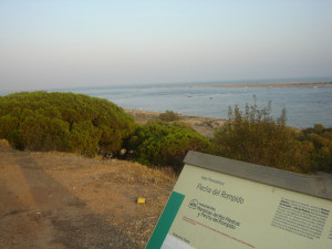 La flora y la fauna del paraje hacen que sea un lugar de valor medioambiental.