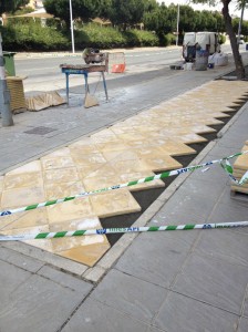 Los trabajos están respetando la arboleda. 