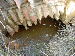 Detalles de canal hidráulico abovedado cubierto de lodos.