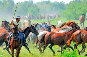 Esta tradición atrae a muchos visitantes cada año. / Foto: Jesús Carrasco (Asociación de Fotógrafos de Almonte).