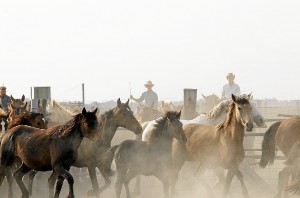 Existen documentos de 1504 que hablan de esta práctica en El Rocío. / Foto: Jesús Carrasco (Asociación de Fotógrafos de Almonte).