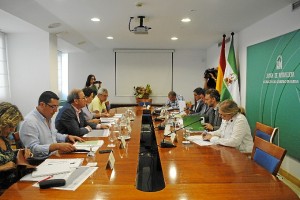 Reunión de la Comisión del Plan de Choque.