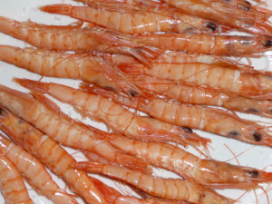 Las gambas blancas de Huelva. 