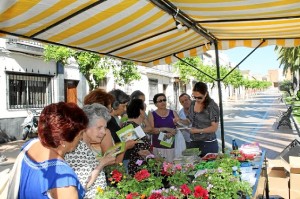 Los asistentes a las charlas informativas recibirán macetas de regalo. 